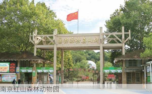 南京红山森林动物园