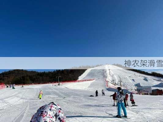 神农架滑雪