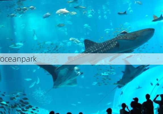 oceanpark