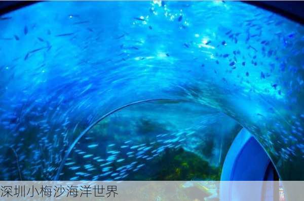 深圳小梅沙海洋世界