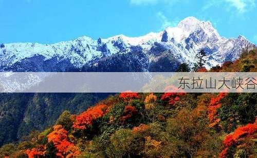 东拉山大峡谷