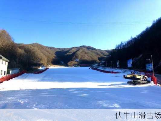 伏牛山滑雪场