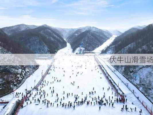 伏牛山滑雪场