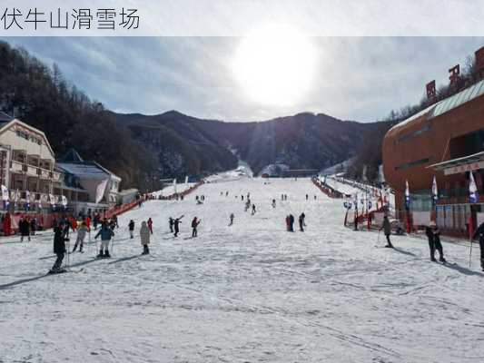 伏牛山滑雪场