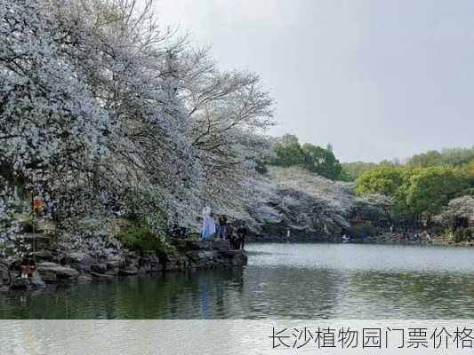 长沙植物园门票价格