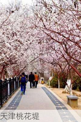 天津桃花堤