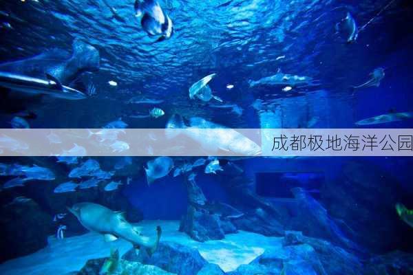 成都极地海洋公园