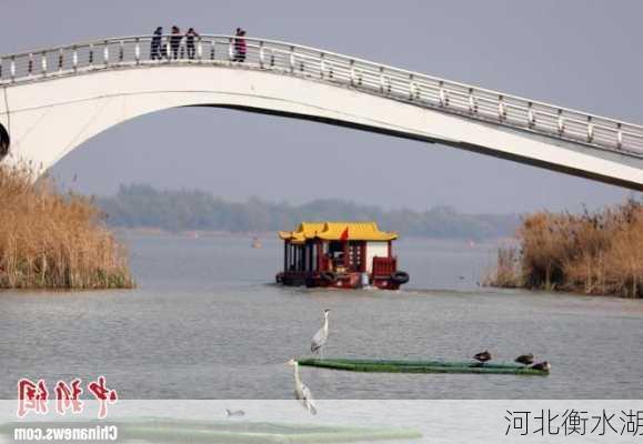 河北衡水湖