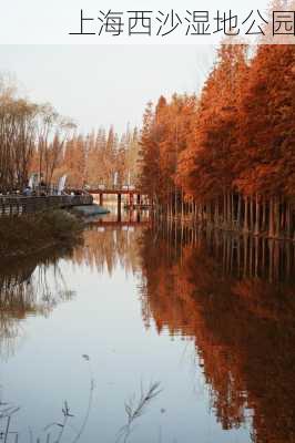 上海西沙湿地公园