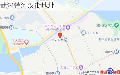 武汉楚河汉街地址