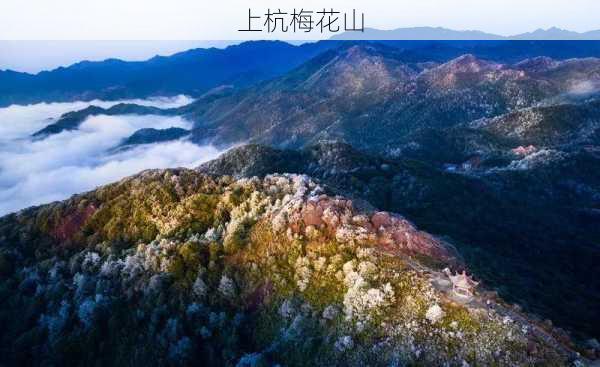 上杭梅花山