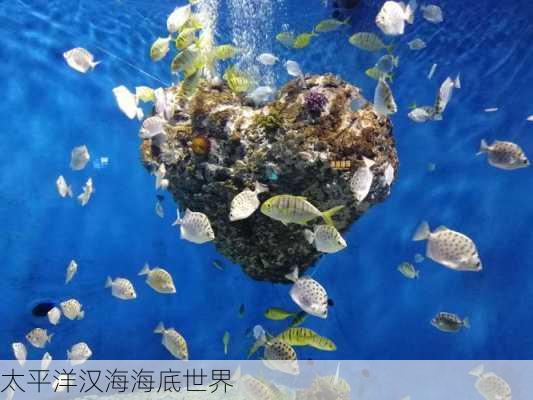 太平洋汉海海底世界