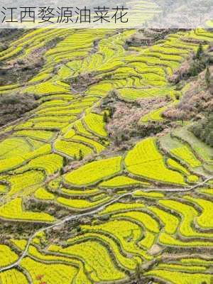 江西婺源油菜花