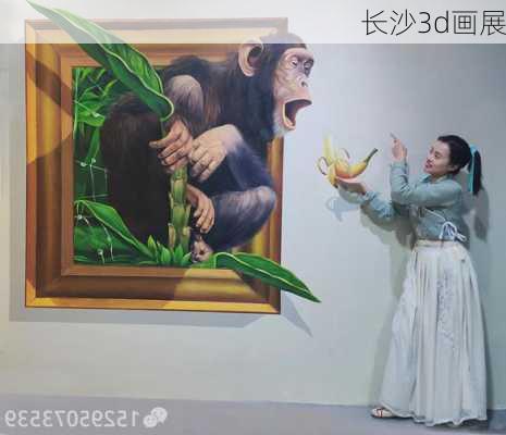 长沙3d画展