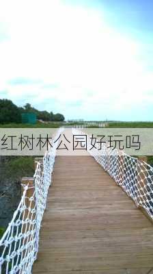 红树林公园好玩吗