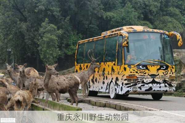 重庆永川野生动物园