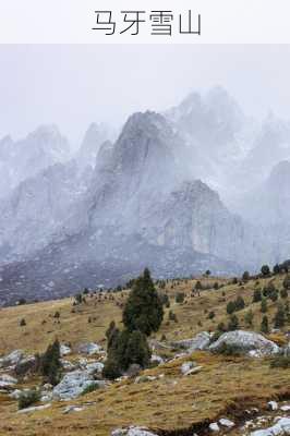 马牙雪山