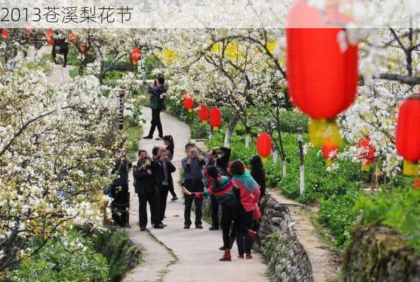 2013苍溪梨花节