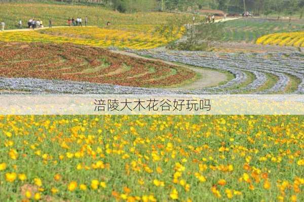 涪陵大木花谷好玩吗