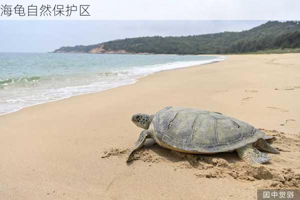 海龟自然保护区