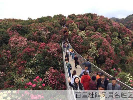 百里杜鹃风景名胜区