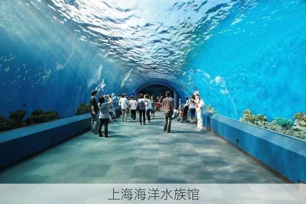 上海海洋水族馆