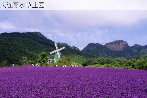 大连薰衣草庄园