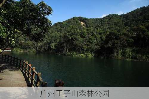 广州王子山森林公园