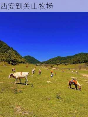 西安到关山牧场