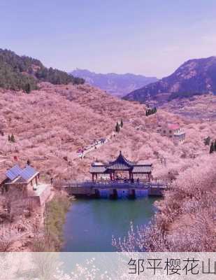 邹平樱花山