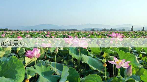 花莲景点