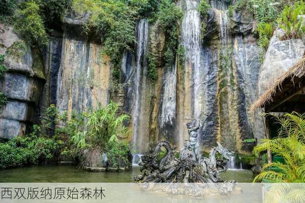 西双版纳原始森林