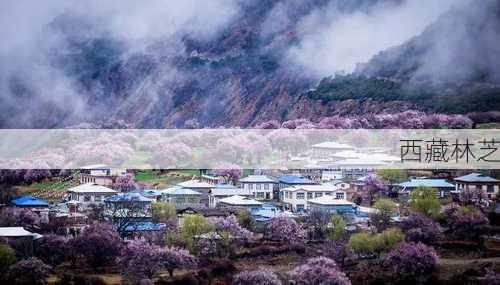 西藏林芝