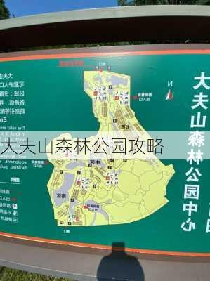 大夫山森林公园攻略