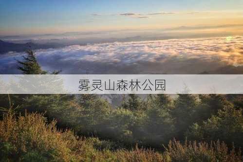 雾灵山森林公园