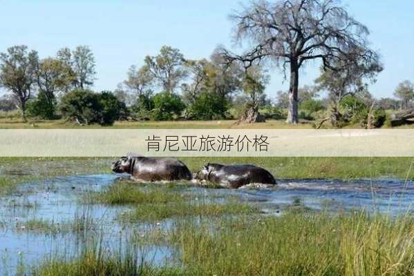 肯尼亚旅游价格