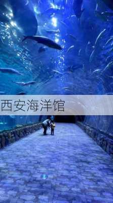 西安海洋馆