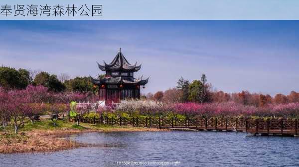 奉贤海湾森林公园