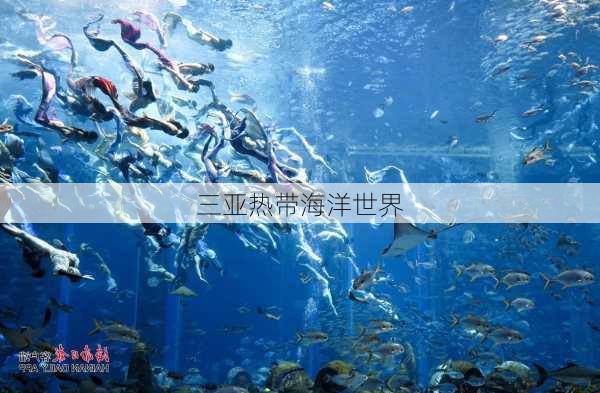 三亚热带海洋世界