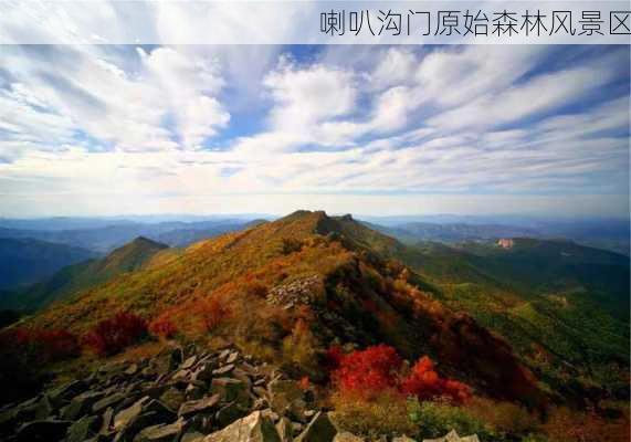 喇叭沟门原始森林风景区