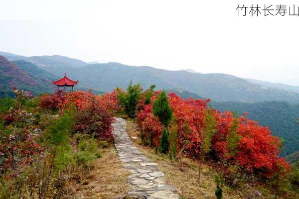 竹林长寿山