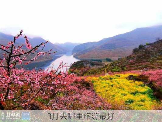 3月去哪里旅游最好