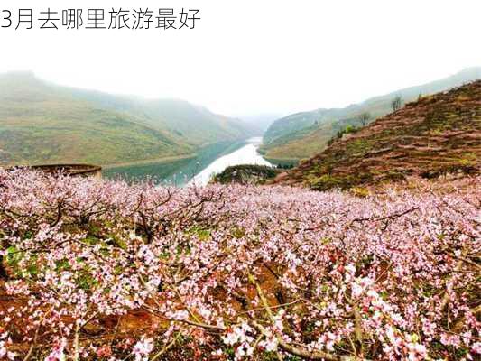 3月去哪里旅游最好