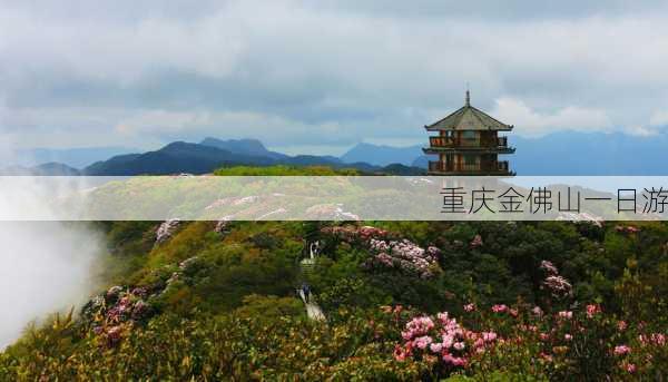 重庆金佛山一日游