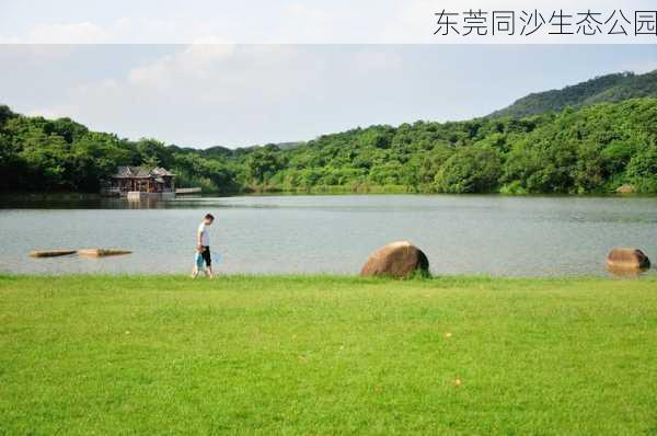 东莞同沙生态公园