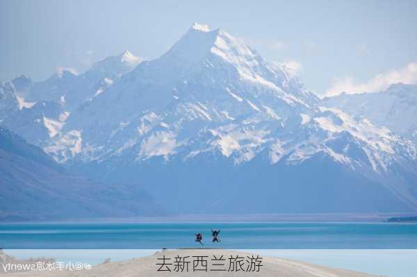 去新西兰旅游