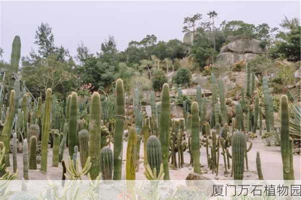 厦门万石植物园