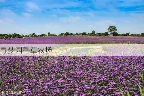 寻梦园香草农场