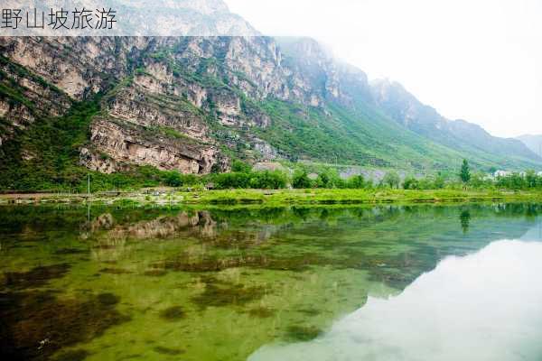 野山坡旅游