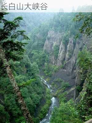 长白山大峡谷